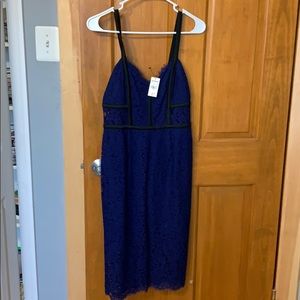 Express Cocktail Dress